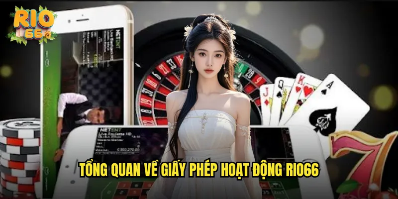 Tổng Quan Về Giấy Phép Hoạt Động rio66