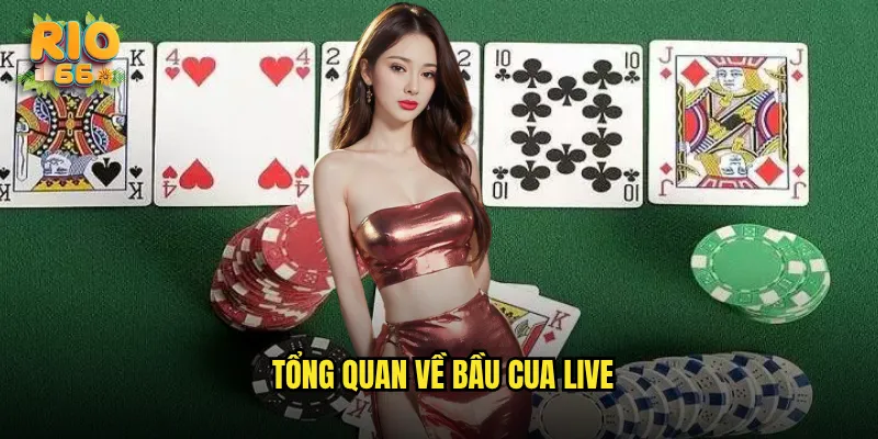 Tổng quan về Bầu cua live