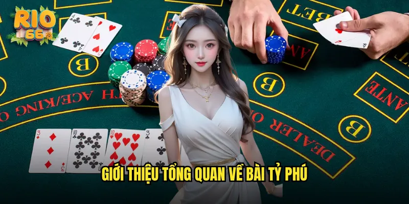 Giới thiệu tổng quan về Bài tỷ phú